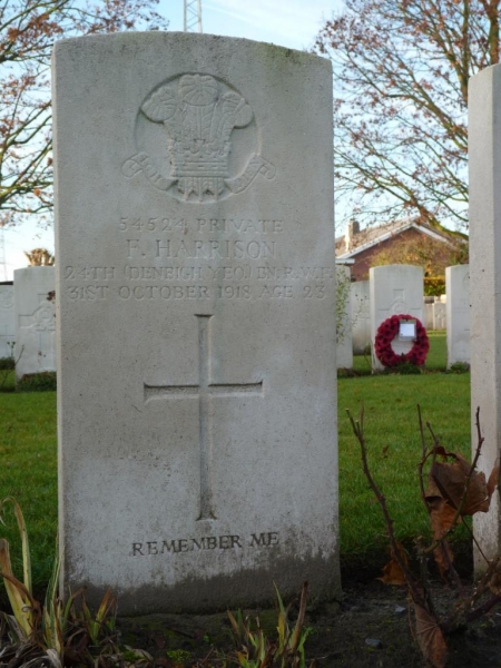 Fred Harrison's grave