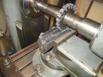 SHED 05  171115