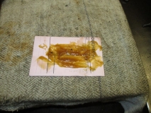 SHED 02  271115