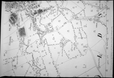 1892 25inch Calf Hall