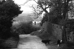 StandridgeFollyLane7710301