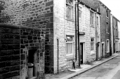 OrchardStreet824601