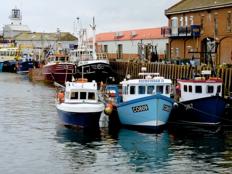 3 Boats in the Harbour