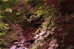 Ouzlwdaleculvert20000202