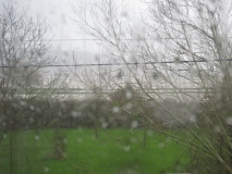 Flood waters from Tizer's window, 030116