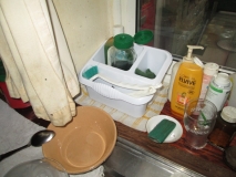 Sink tidy 060116