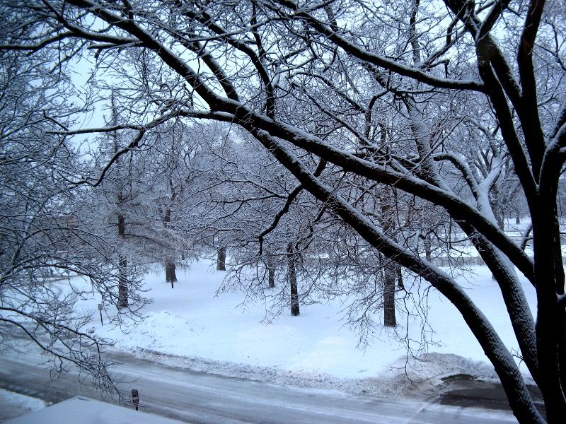 Winter in Northfield 090116