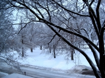 Winter in Northfield 090116