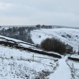 Kelbrook Moor