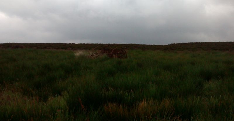 Hayrake