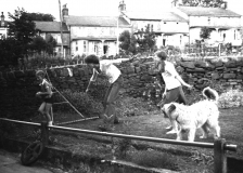 GardenGamesHey761910