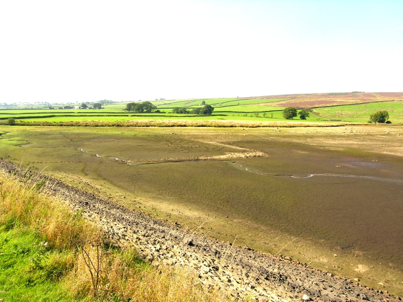 Whitemoor03