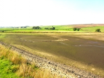 Whitemoor03