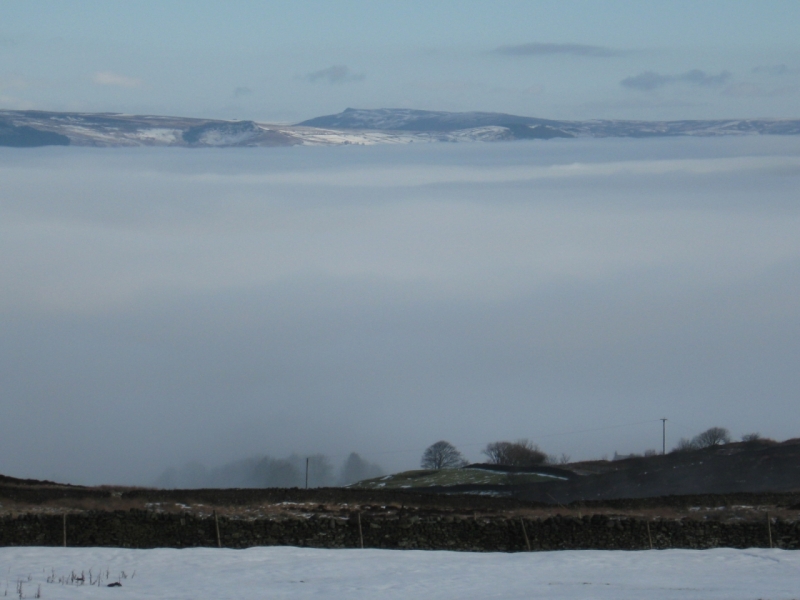 Foggy Barlick1