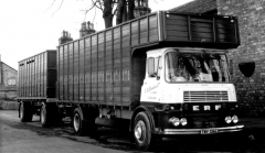 TWY136L72