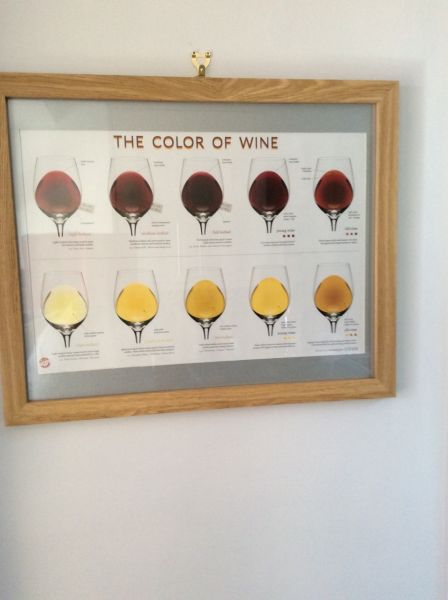 Wine poster very educational