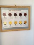 Wine poster very educational