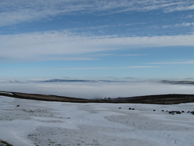 Foggy Barlick1