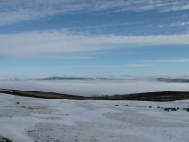 Foggy Barlick1