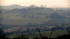 Letcliffe 1