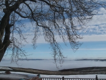 Foggy Barlick1