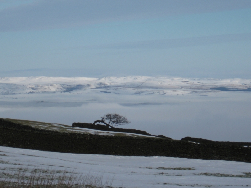 Foggy Barlick1