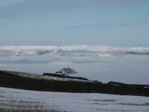 Foggy Barlick1