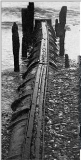 Tizer's mystery object, 24/03/16
