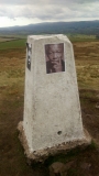 Weets Trig - Nelson Mandela
