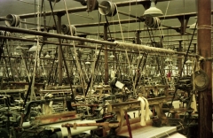 Bancroftlooms7503