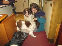 Yiota and dogs 281016