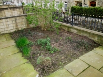 Front Garden 080516