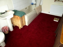 Carpet After 110516