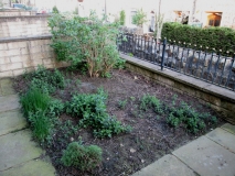 Front Garden 120516