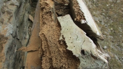 Lintels gone 1