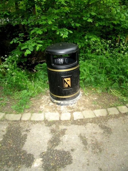 Valley Gardens bin