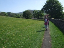 Meadow Path