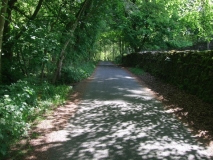 Brackenbottom Lane
