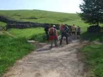 Gate onto the Fell