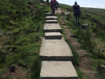 Steps