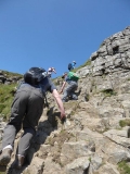 Traversing Across