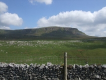 Penyghent from the Lane