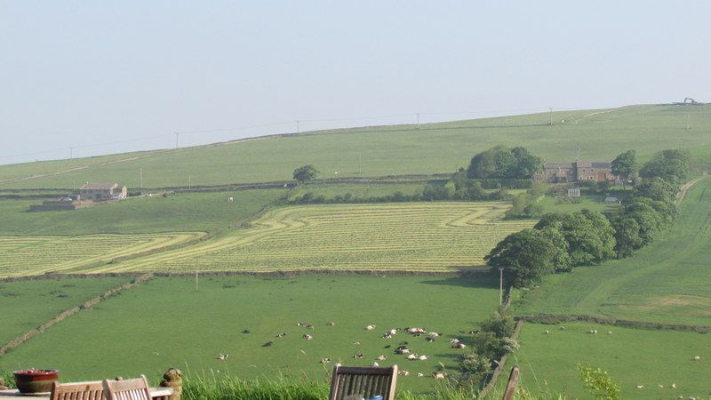 Grass cutting 2