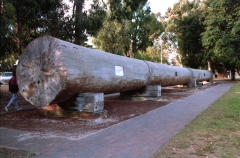 MYSTERY OBJECT 647