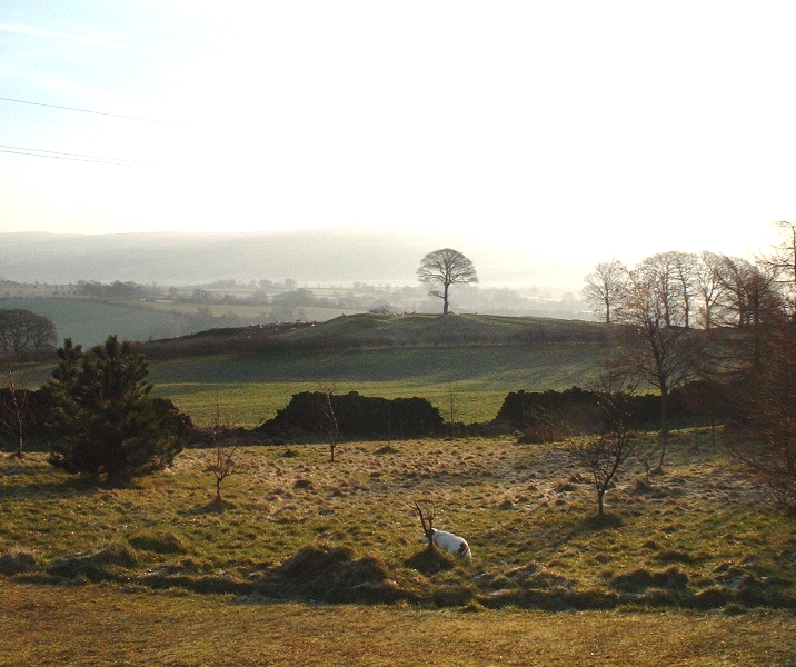 KingHill150201