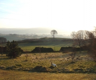 KingHill150201