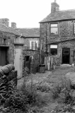 BackYard824801