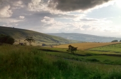 Kelbrook Moor