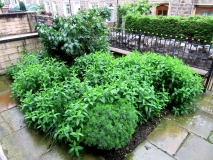 Front garden 290616