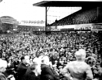 1936 Seedhill